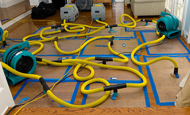 Professional Structural Drying And Dehumidification technician working in Diamond, OH